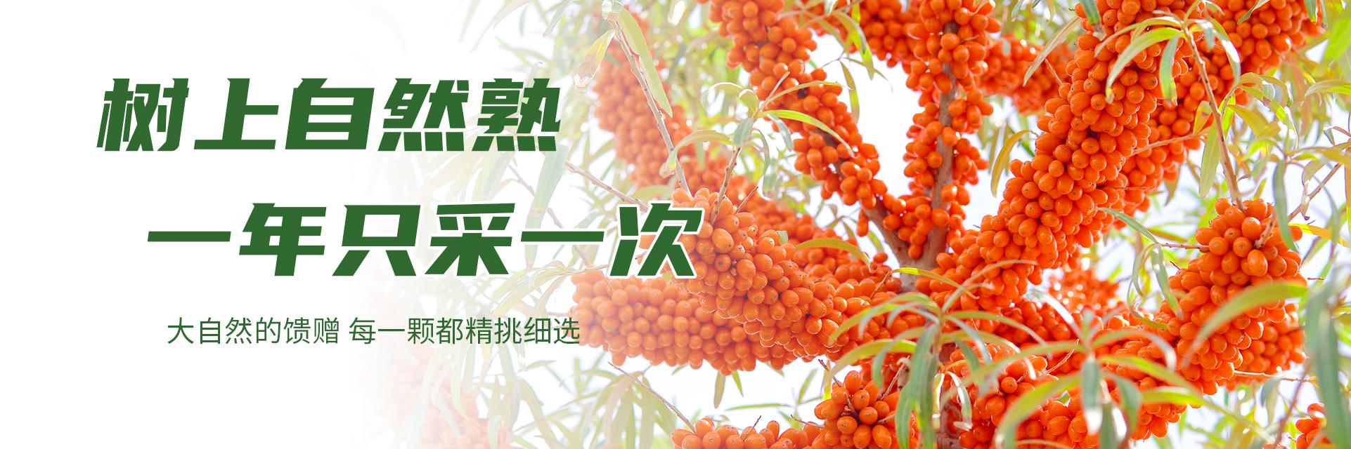 棘鮮豐